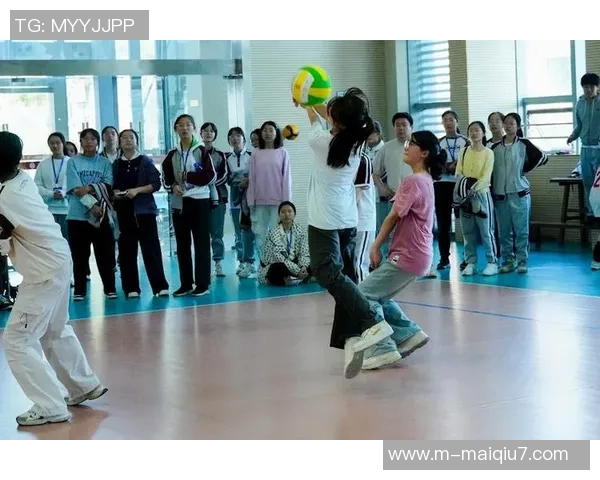 广州排球队的奋斗与荣耀：一段排球精神的纪实之旅