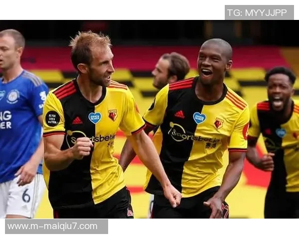 英超羽毛球专题深入探讨西安羽毛球队的速度与技巧发展