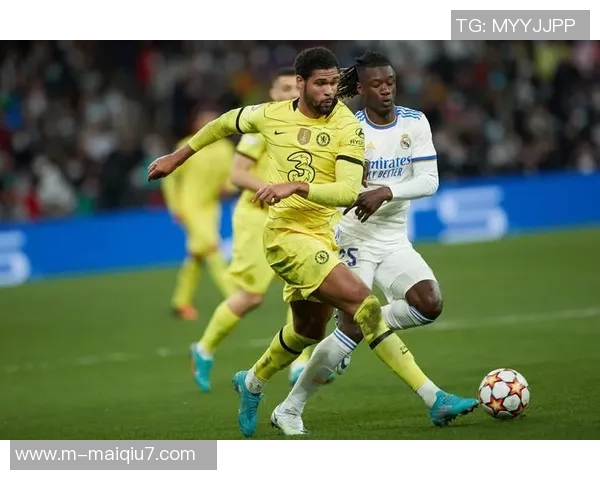 热议深圳网球队快速变革与欧冠足球的精彩对比与启示