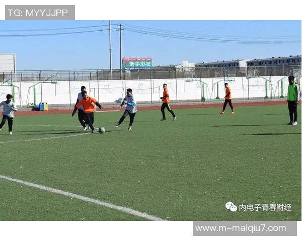 赵磊回顾个人足球生涯的点滴与成长历程分享