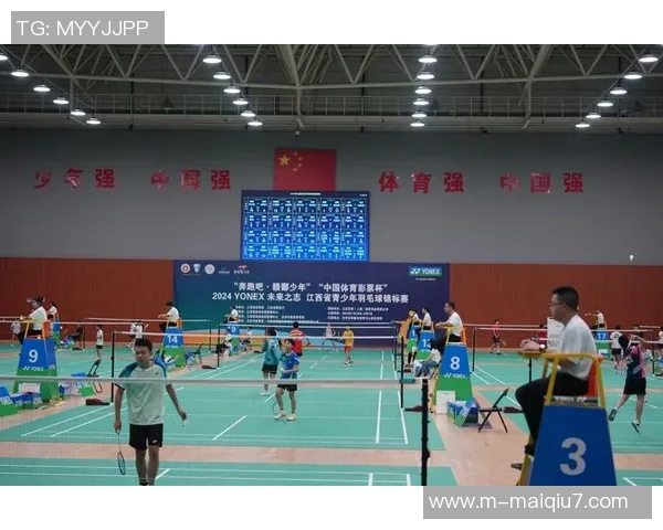 体育实时数据西安羽毛球队个人能力分析与提升策略探讨