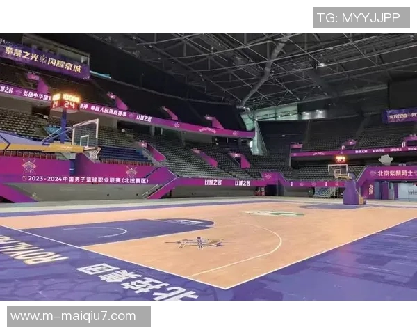 体育实时数据重磅专题探讨北京篮球队运营模式创新与发展新机遇