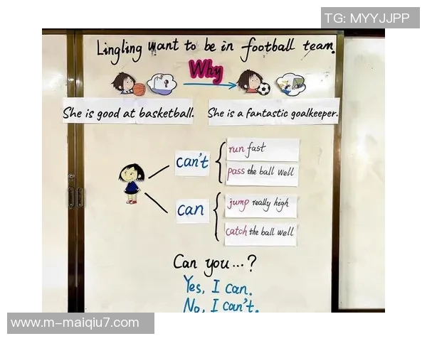 运动数据刘娜独家分享篮球心得与技巧提升之路助你成为球场明星